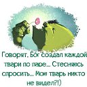 ���� �����, ������ - ��������� 15 ��� 2014 � ������ ������ ��������