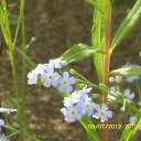 ���� ������, ����������, 66 ��� - ��������� 18 ������� 2014 � ������ ������ ��������