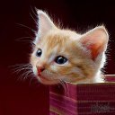 ���� ����, ������������, 60 ��� - ��������� 6 ��� 2014 � ������ ���� ����������