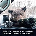 ���� ����, �����, 62 ���� - ��������� 13 ���� 2014 � ������ ������ ��������