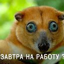 ���� �_�_�_�_�, ������-��-����, 43 ���� - ��������� 15 ��� 2014 � ������ ������ ��������