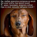 ���� ����������, �������, 43 ���� - ��������� 6 ������� 2014 � ������ ������ ��������