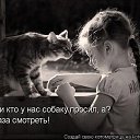 ���� �����, ���� - ��������� 12 ������� 2014 � ������ ���� ����������