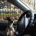 ���� ���������, �����, 49 ��� - ��������� 13 ��� 2014 � ������ ���� ����������