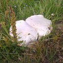 ���� Garik, ������, 51 ��� - ��������� 26 ���� 2014 � ������ ������ ��������