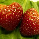 ���� �������, ������������, 57 ��� - ��������� 22 ���� 2014 � ������ ������ ��������