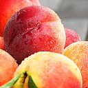 ���� �����, ����������, 41 ��� - ��������� 2 ���� 2014 � ������ ���� ����������