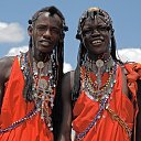 ���� Tongo, ������-��-����, 45 ��� - ��������� 18 ���� 2014 � ������ ���� ����������