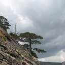 ���� R, ���� - ��������� 1 ������ 2014 � ������ ���� ����������