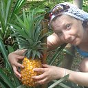 ���� ������, ������������ - ��������� 2 ������� 2014 � ������ ��������