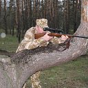 ���� �������, ��������������, 53 ���� - ��������� 27 ������ 2014 � ������ ���� ����������