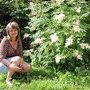 ���� �����, �������������, 58 ��� - ��������� 23 ���� 2014 � ������ ���� ����������