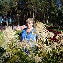  , , 68  -  22  2014    2014