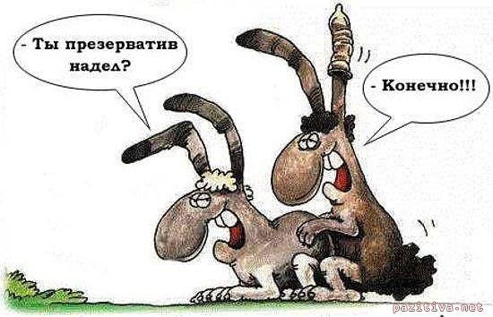 ������ - 17 ���� 2014 � 07:01