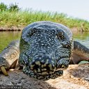 ���� Tolikrostov, ������-��-����, 31 ��� - ��������� 27 ���� 2014 � ������ ������ ��������