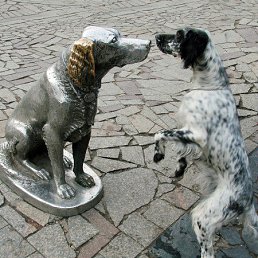 Vladimir, ������-���, 66 ���