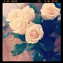 ���� ���, ������-��-���� - ��������� 17 ��� 2014 � ������ ������ ��������