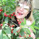 � ������� ���� �������....