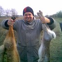 ���� ���������, �������, 65 ��� - ��������� 29 ��� 2014 � ������ ���� ����������