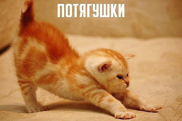 )))