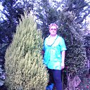 ���� Valentina, �������, 70 ��� - ��������� 20 ��� 2014