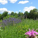 ���� �������, ������ - ��������� 29 ���� 2014 � ������ ��������.�