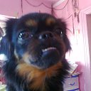 ���� �����, �������������, 65 ��� - ��������� 12 ���� 2014 � ������ ������� � �� �����߻