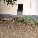  ,  , 23  -  17  2014    