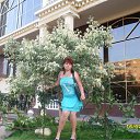 ���� �����, ����� - ��������� 12 ���� 2014 � ������ ���� ����