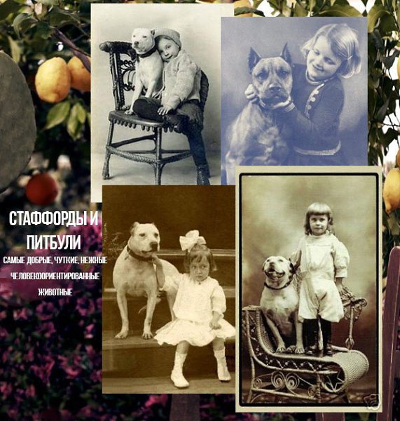 Статья о нас на сайте наших друзей - замечательного интернет-магазина сумок ... - 3