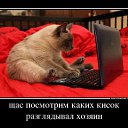 ���� ��, ������������, 50 ��� - ��������� 1 ��� 2014 � ������ ������ ��������