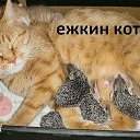  , , 61  -  9  2014      )))