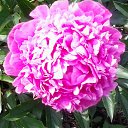 ���� �����, ������������ - ��������� 7 ���� 2014 � ������ �������������