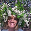 ������� �������� �� ������� ����� ��� ������������