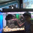 ���� ����, ��������� - ��������� 10 ������� 2014 � ������ ���� ����������