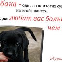 ���� �����, ������, 50 ��� - ��������� 10 ������� 2014 � ������ ������ ��������