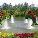 ���� �����, ����������, 58 ��� - ��������� 6 ��� 2014 � ������ ������ ��������