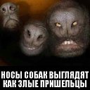 ���� ������, ������, 50 ��� - ��������� 30 ����� 2014