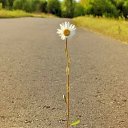 ���� �������, ���������, 38 ��� - ��������� 9 ������� 2014 � ������ ���� ����������