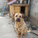 ��� ��� ������� �� ������� ���� ����������