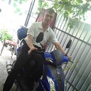 ���� ��������, ���������, 43 ���� - ��������� 31 ����� 2014 � ������ ������ ��������