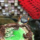 ���� �����, �����-���������, 52 ���� - ��������� 27 ����� 2014 � ������ ��� 26.03.2014�