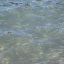 ���� �������, ������-���, 50 ��� - ��������� 21 ���� 2014 � ������ ����Ȼ