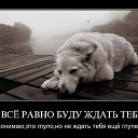 ���� ����, �����������, 45 ��� - ��������� 29 ����� 2014 � ������ ������ ��������