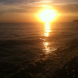  , --, 54  -  15  2014