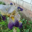 ���� �������, ������, 58 ��� - ��������� 17 ��� 2014 � ������ ��������