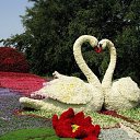 ���� ������, ���������, 46 ��� - ��������� 12 ���� 2014 � ������ ������ ��������