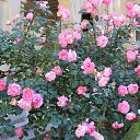 ���� �����, ������ �������� - ��������� 28 ���� 2014 � ������ �2014 ��