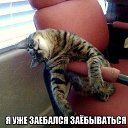 ���� ���������, ���������, 36 ��� - ��������� 6 ������� 2014