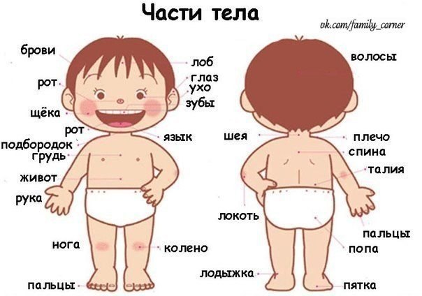     !  ,  .  ,  .  ,  ...